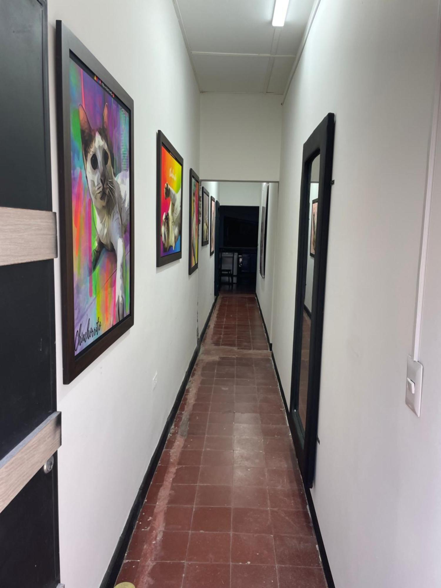 Hammocks - Hamacas Hostel Ríohacha Εξωτερικό φωτογραφία